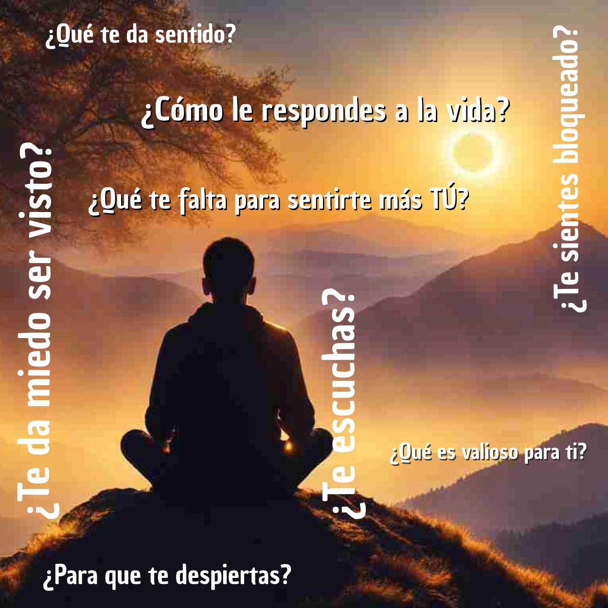 meditando-letras