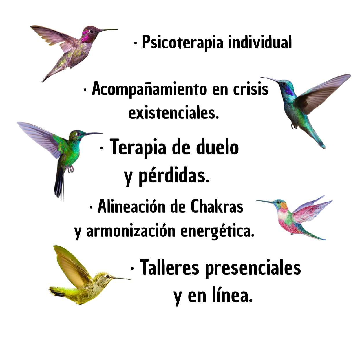 servicios-colibries-3